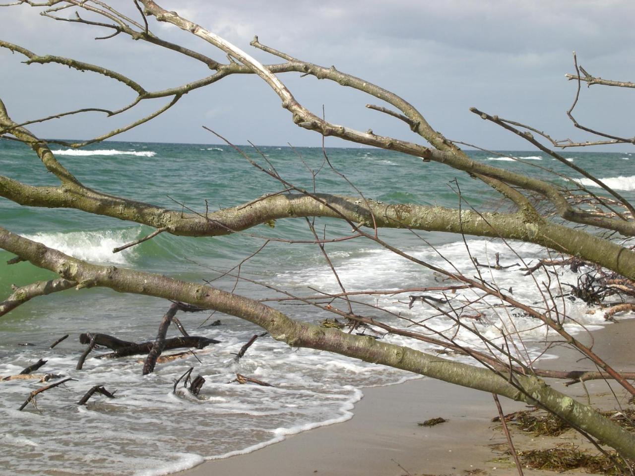 Achtern - Diek - Am Strand Zingst Exterior foto